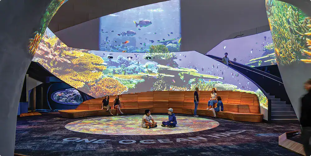 Interactive Learning Through Digital Experience - Case Study 3 The impact 1