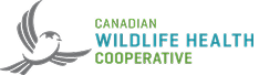 Case Studies 4 Logo name leftalign cwhc 1 1
